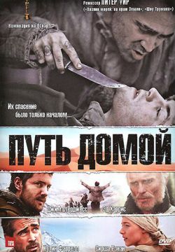 Путь домой (2010)